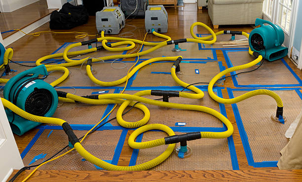 Professional Basement Flood Cleanup technician working in Elkton, SD
